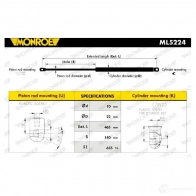 Амортизатор багажника MONROE ML5224 Ford Focus 1 Хэтчбек 2.0 ST170 173 л.с. 2002 – 2004 5412096342943 KY7 8F