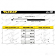 Амортизатор багажника MONROE E08GU DW 498515 5412096506260 ML6224 - Изображение 6