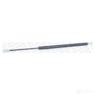 Амортизатор багажника MONROE E08GU DW 498515 5412096506260 ML6224 - Изображение 7