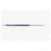Амортизатор багажника MONROE E08GU DW 498515 5412096506260 ML6224 - Изображение 14