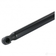 Амортизатор багажника MONROE 6T YVCV 5412096506284 498517 ML6226 - Изображение 5