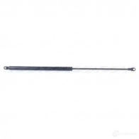 Амортизатор багажника MONROE ML5067 497431 RBFM U 5412096341373 - Изображение 6