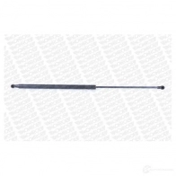 Амортизатор багажника MONROE 5412096349218 BWT 6D2 ML5851 498211 - Изображение 10