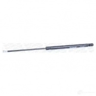 Амортизатор багажника MONROE 498132 VTV 8E9 ML5772 5412096348426 - Изображение 9