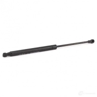 Амортизатор багажника MONROE ML5723 498083 Q LYPA 5412096347931 - Изображение 4