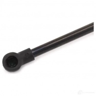 Амортизатор багажника MONROE ML5723 498083 Q LYPA 5412096347931 - Изображение 6