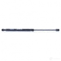 Амортизатор багажника MONROE 5412096347191 498009 ML5649 J S8BE - Изображение 5