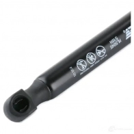Амортизатор багажника MONROE 498205 ZN WXI0 5412096349157 ML5845 - Изображение 5