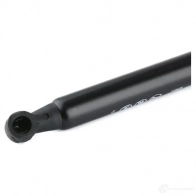 Амортизатор багажника MONROE 5412096458118 498426 ML6132 T59 FO - Изображение 5