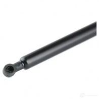 Амортизатор багажника MONROE 497741 T IQHR 5412096344503 ML5380 - Изображение 5