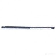 Амортизатор багажника MONROE DVP BG ML5760 5412096348303 498120 - Изображение 6