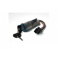 Контактная группа замка зажигания ASAM 6YHD DV 1440391979 00038