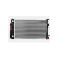 Радиатор охлаждения двигателя ASAM 99418 JVP OCD 1440393250