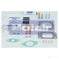 Комплект прокладок турбины MOTAIR TURBOLADER 4W 833 2632767 440143