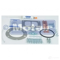 Комплект прокладок турбины MOTAIR TURBOLADER 2632829 440207 161H RS