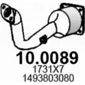 Катализатор ASSO S2 JOB7L 10.0089 2403706
