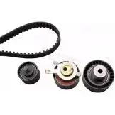 Комплект ремня ГРМ AUTEX 702172 GC25 NUG Ford Focus 1 Хэтчбек 2.0 16V 131 л.с. 1998 – 2004 PW1P6