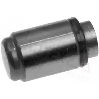 Гидрокомпенсатор, толкатель клапана AUTEX 2432130 ZUK 1IH 955043 FVFPA