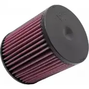 Воздушный фильтр K&N FILTERS 0024844286024 e2999 2454227 T1 X8A4