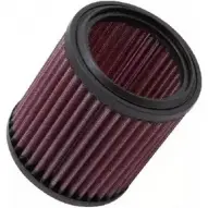 Воздушный фильтр K&N FILTERS ka1199 HAJE GGX 2454474 0024844076991