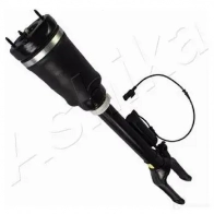 Пневмостойка ASHIKA RNZH1 B MA-AS003 1437311906 - Изображение 3