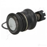 Шаровая опора ASHIKA 2121893 73-02-251 2 AHP6Y 8033001975901 - Изображение 3
