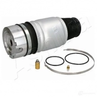 Пневмоподушка ASHIKA DQ8M L0Z MA-AS054 1437294786 - Изображение 2