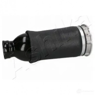 Пневмоподушка ASHIKA IF01 DH MA-AS011 1437294737 - Изображение 4