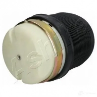 Пневмоподушка ASHIKA 1437292846 Y CLJPM MA-AS083 - Изображение 3