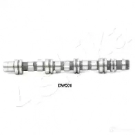 Распредвал ASHIKA 16DW001 8033001741599 2110506 9 3HUD4 - Изображение 2