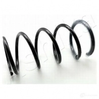 Пружина подвески ASHIKA Nissan X-Trail ZCA3139D 3 N6M7V7