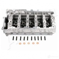 Головка блока цилиндров ASHIKA LR004S OEP63 3P 1437310696 - Изображение 2