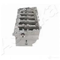 Головка блока цилиндров ASHIKA LR004S OEP63 3P 1437310696 - Изображение 5