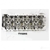 Головка блока цилиндров ASHIKA 2130318 8033001737059 TY009S OKXLA 2R - Изображение 3