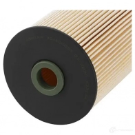 Топливный фильтр ASHIKA 8033001755336 30-ECO033 2111934 6FS 4Y4 - Изображение 5