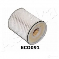 Топливный фильтр ASHIKA WQY O8 1222126705 8052553194578 30-ECO091 - Изображение 3