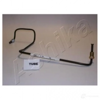 Главный цилиндр сцепления ASHIKA 95-TUBE Hyundai Accent (X3) 1 Седан 1.5 i 16V 99 л.с. 1995 – 2000 8033001273359 6ZR G8IP