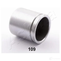 Поршень суппорта ASHIKA Y PJMZ 1423519036 8033001880700 133-01-109