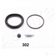 Ремкомплект суппорта ASHIKA QS 0TX 2107583 8033001881639 120-03-302