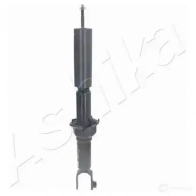 Амортизатор ASHIKA 2129306 MA-40013 WI11AFF MA -40013 - Изображение 3