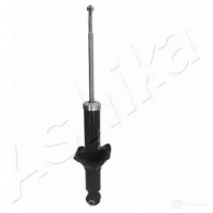 Амортизатор ASHIKA 2128737 8052553032238 MA-00440 6F 0500 - Изображение 4