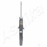 Амортизатор ASHIKA 2129263 B0FTLY R MA-33037 8052553041292 - Изображение 2