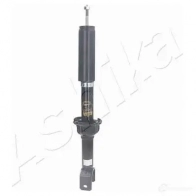 Амортизатор ASHIKA 2129307 MA- 40014 DLUIJ9B MA-40014 - Изображение 2
