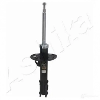 Амортизатор ASHIKA 8052553039947 2129146 MA-20066 B 7ECQX9 - Изображение 2
