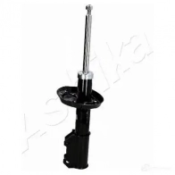 Амортизатор ASHIKA 1222307253 MA-W0041 310 DQ 8052553216591 - Изображение 3