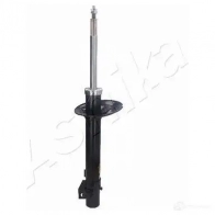 Амортизатор ASHIKA 8052553132945 G UM0LZ5 2128950 MA-00691 - Изображение 4