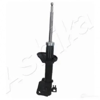 Амортизатор ASHIKA 4OVZ H 8052553018409 2129631 MA-LR006 - Изображение 3