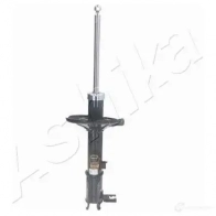 Амортизатор ASHIKA FIV CI3 8052553016009 2129527 MA-HY012 - Изображение 2