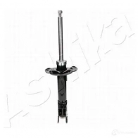 Амортизатор ASHIKA MA-00767 1222279295 8052553178059 GC QM5 - Изображение 2
