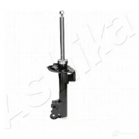 Амортизатор ASHIKA MA-00767 1222279295 8052553178059 GC QM5 - Изображение 3